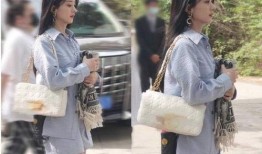 娱乐资讯每日爆料,每日爆料大汇总